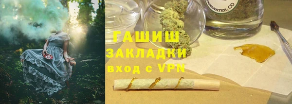 индика Богданович