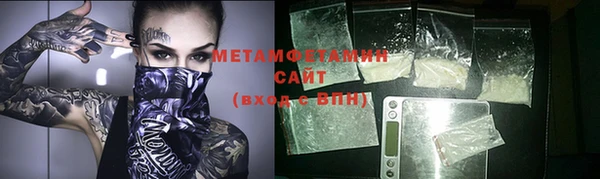 индика Богданович