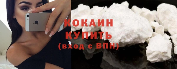 хмурый Богородицк