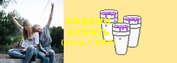 индика Богданович