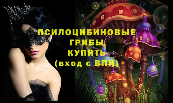 индика Богданович