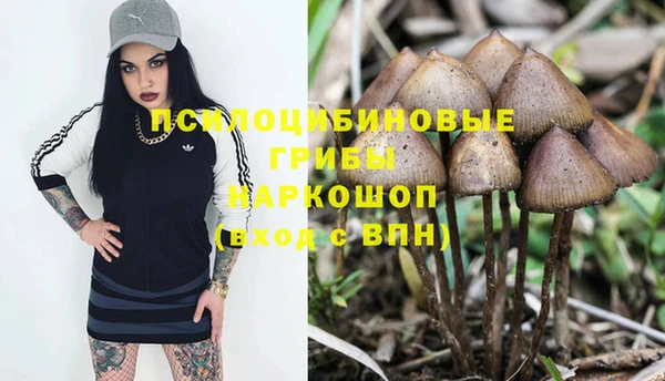 хмурый Богородицк