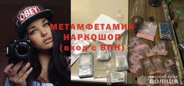 индика Богданович