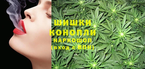 индика Богданович