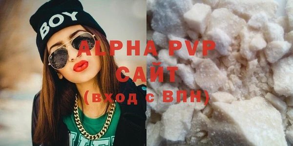 индика Богданович